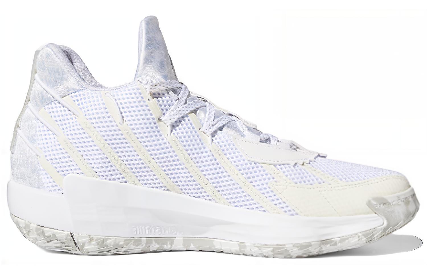 Order デイム7 GCA ネバーフォロー FY0158/FY2795