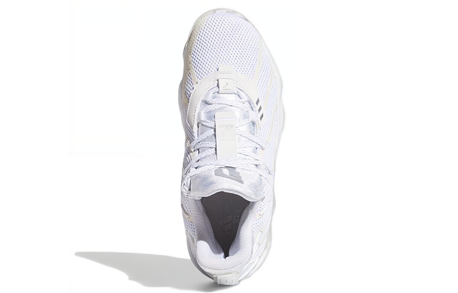 Purchase デイム7 GCA ネバーフォロー FY0158/FY2795