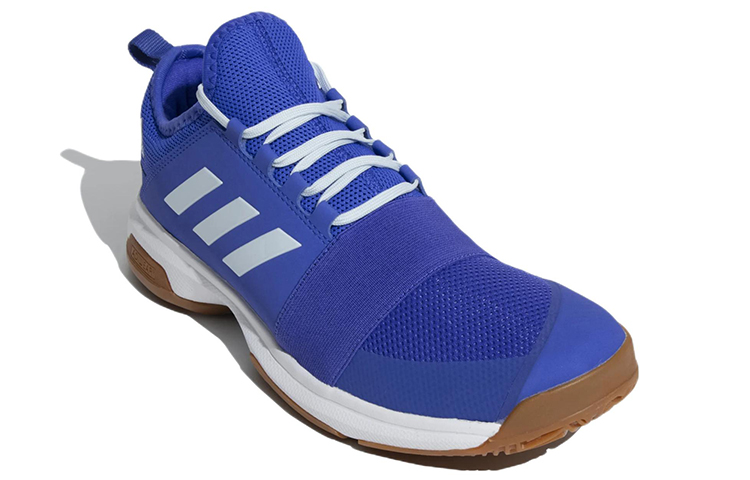 Lookbook adidas Divox ''Lichtblauw'' GA2984