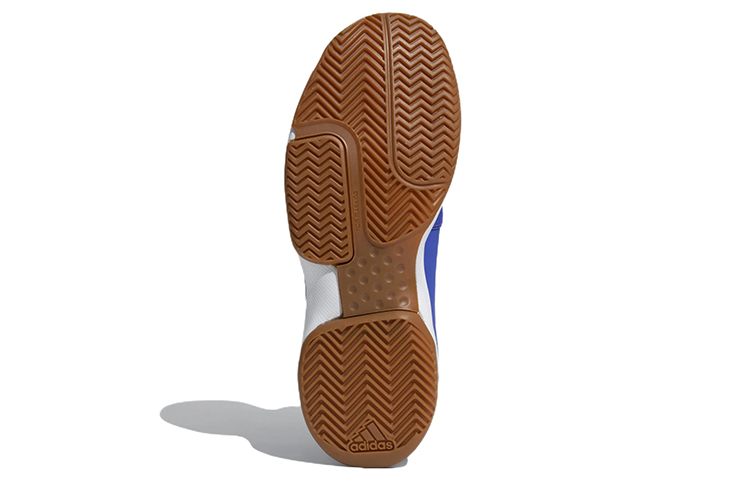 Details for adidas Divox ''Lichtblauw'' GA2984