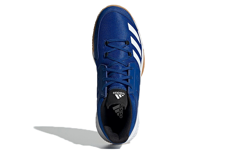 Purchase adidas Essence Schuhe Blau/ ''Weiß'' G28901