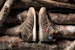 adidas Extra Butter X Zx Trail Mid 'Scout Leader' D69375
