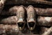 adidas Extra Butter X Zx Trail Mid 'Scout Leader' D69375