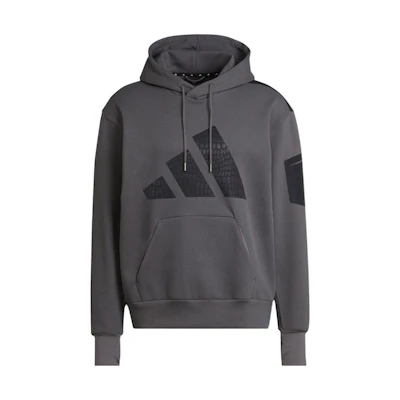 adidas FW22 Striped Logo Graphic Hoodie Gray Long Sleeve Pullover HD6404