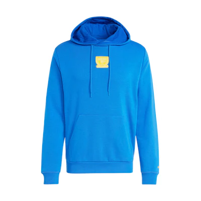 adidas Graphic Hoodie Blue Letter Print Casual Sportswear Pullover IX9638
