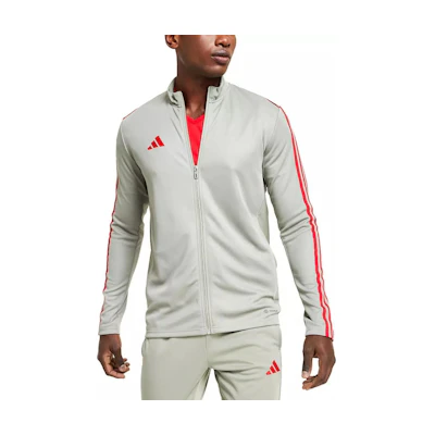 adidas Grey Beige Striped Track Jacket with Zip-Up Stand Collar IA2070