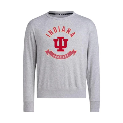 adidas Grey Crewneck Long Sleeve Sweatshirt with Letter Print IL8648