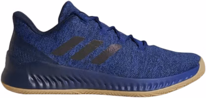 adidas Harden B/E X 'Mystery Ink' CG5980 adidas Harden B/E X 'Mystery Ink' CG5980