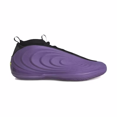adidas Harden Vol. 10 'Matte Purple'