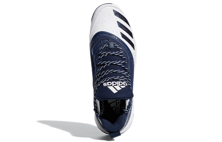 Purchase adidas Icon V Turf Azul/Blanco G28294