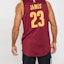 Purchase Adidas LeBron James Cleveland Cavaliers Jersi Bola Keranjang Tank Merah A61199