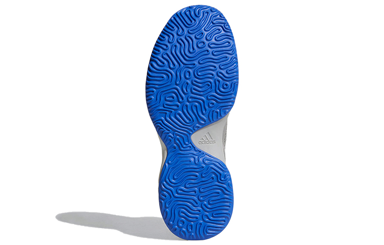 Details for adidas Mad Bounce ''Grijs Blauw'' CG4854