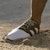 adidas MC Z-Traxion Spikeless Golf 'Warna Pembekal' IG0910