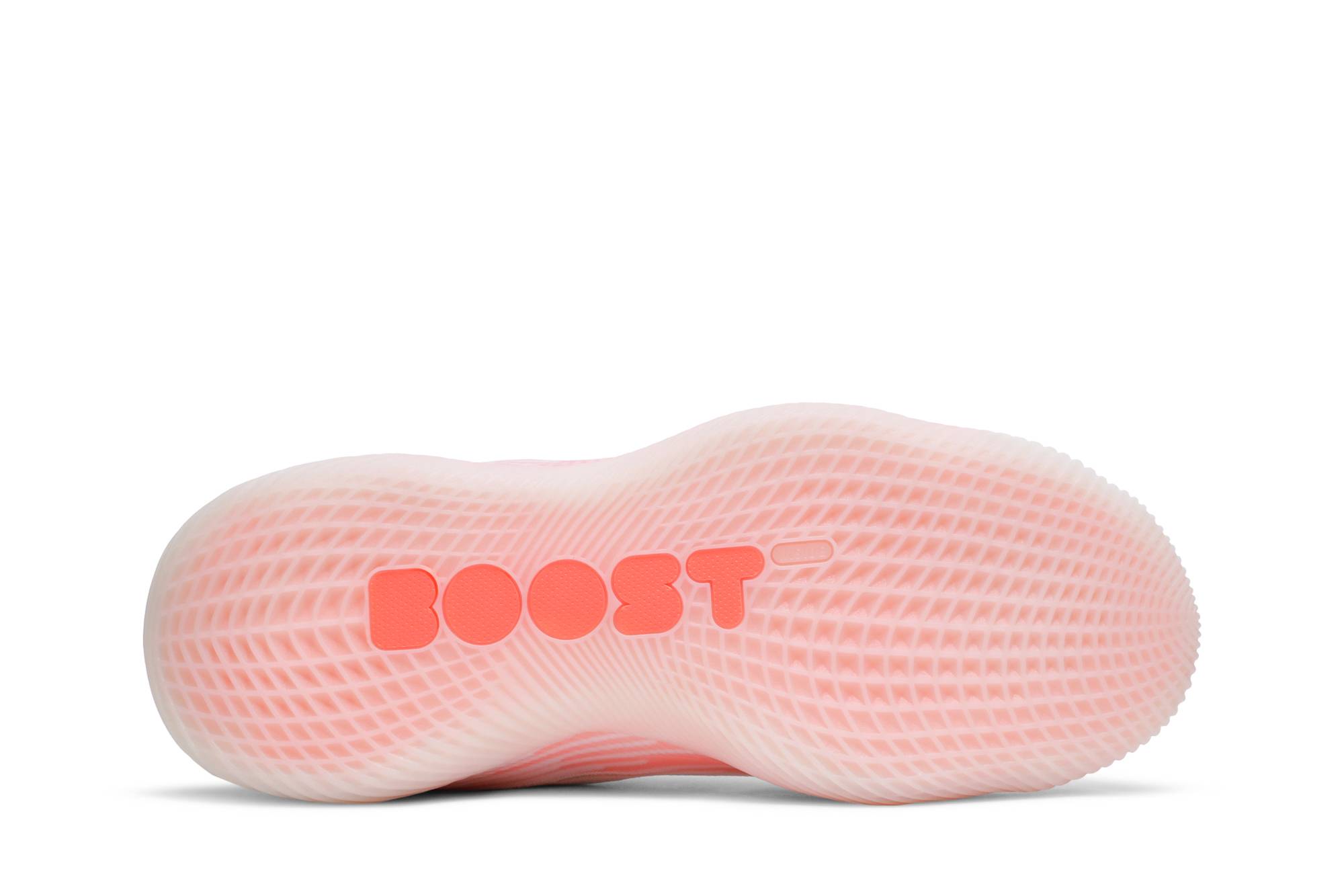 Shop N3XT L3V3L 東京 (N3XT L3V3L Tōkyō) GW2443