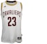 Buy 아디다스 NBA 스윙맨 저지 클리블랜드 캐벌리어스 르브론 제임스 화이트 A61200