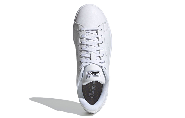 Purchase adidas neo Advancourt Lea Baskets FY8801
