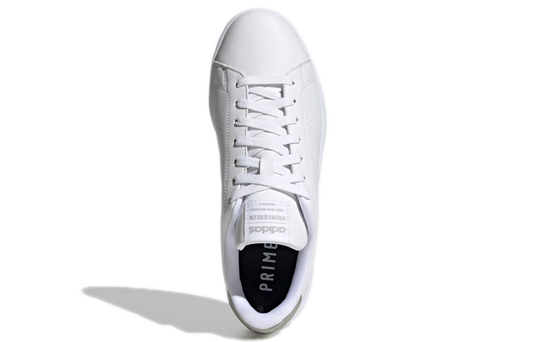 Purchase アディダス ネオ アドバンテージ コージー  (Adidas Neo Advantage Cozy) GZ5303