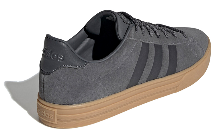 Shop adidas neo Daily 20 Gris EE7802