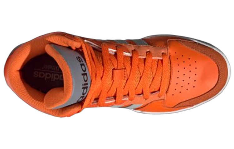 Shop adidas neo Entrap Mid Orange/Grau EH1688