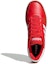 Purchase adidas neo Hoops 2.0 Merah/Putih EE7798