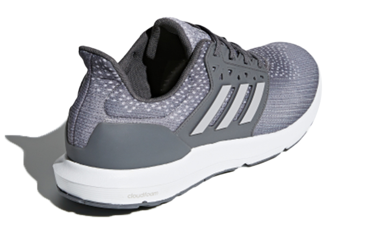 Shop adidas neo Solyx Schoenen Grijs CP9343