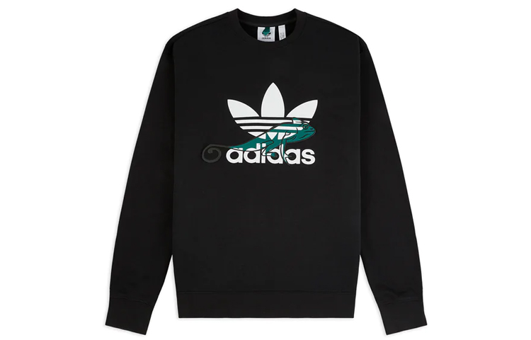 adidas Originals Chameleon Graphic Print Hoodie Black FM3701