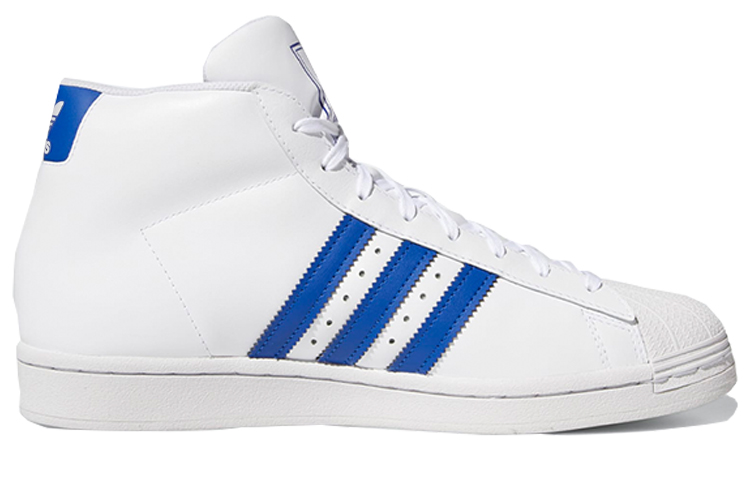 Order プロモデル 白青 (Puro Moderu Shiro Ao) FV4977