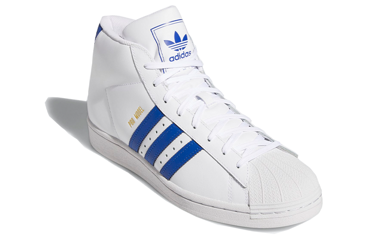 Lookbook プロモデル 白青 (Puro Moderu Shiro Ao) FV4977