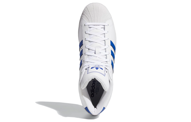 Purchase プロモデル 白青 (Puro Moderu Shiro Ao) FV4977