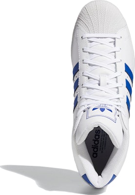 プロモデル 白青 (Puro Moderu Shiro Ao) FV4977 Purchase プロモデル 白青 (Puro Moderu Shiro Ao) FV4977