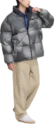 阿迪达斯经典款双面羽绒外套 银灰色冬季保暖服 JD3745 Purchase 阿迪达斯经典款双面羽绒外套 银灰色冬季保暖服 JD3745