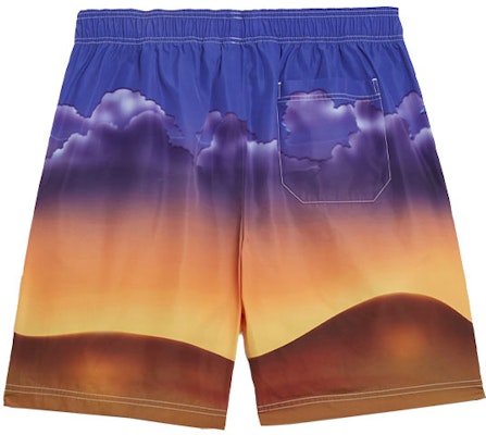 阿迪达斯Originals x Kerwin Frost卡通印花多色短裤. H66312 Lookbook 阿迪达斯Originals x Kerwin Frost卡通印花多色短裤. H66312