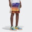 Sizing 阿迪达斯Originals x Kerwin Frost卡通印花多色短裤. H66312