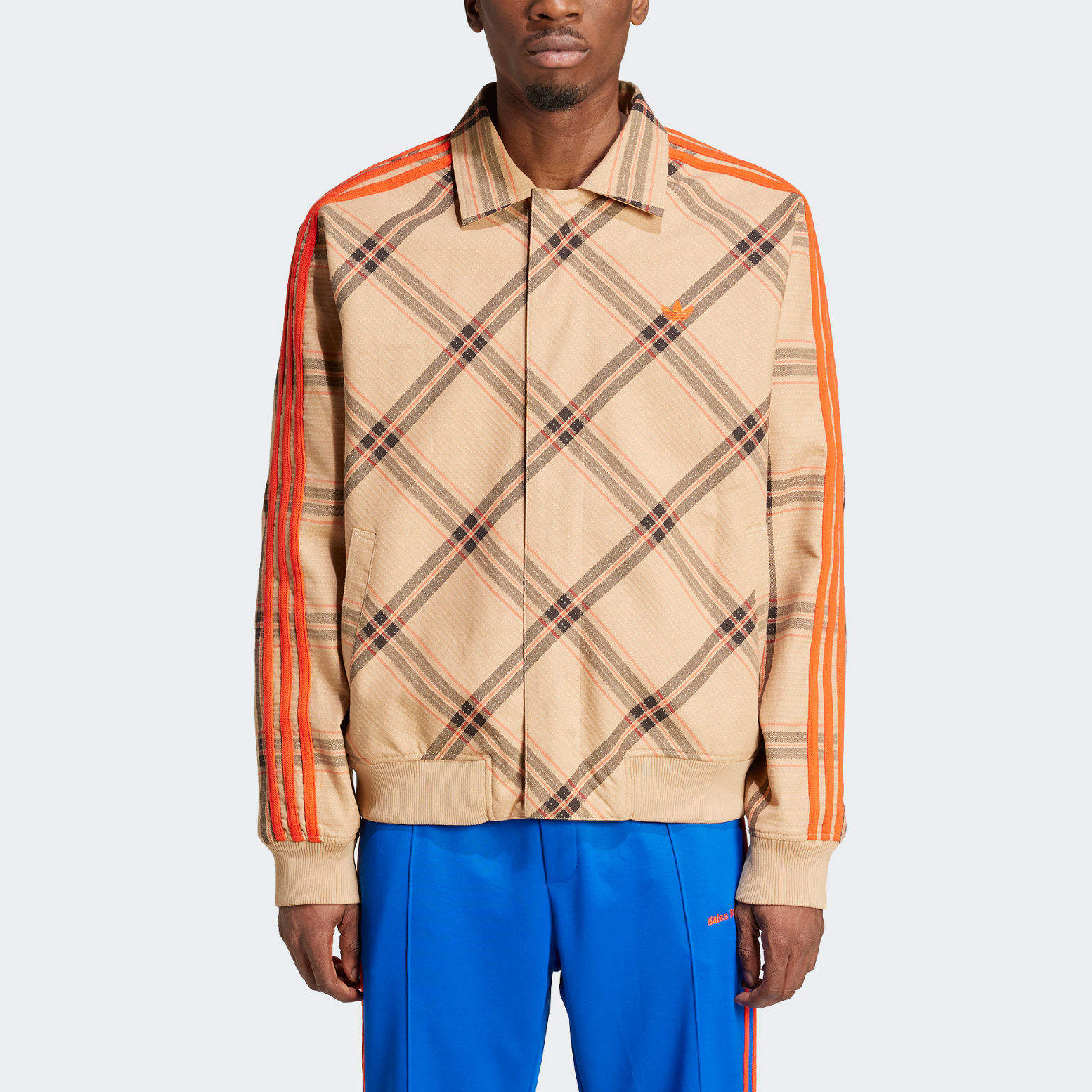 Purchase Chaqueta Deportiva Casual Beige adidas Originals x Wales Bonner SS24. IW3601