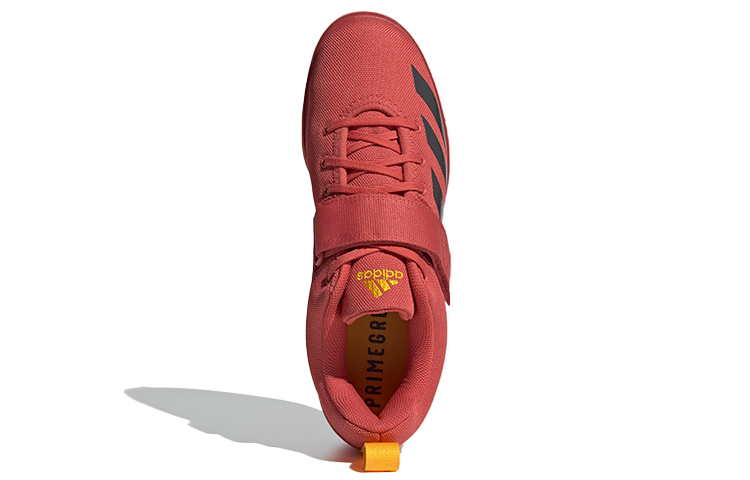 Purchase adidas Powerlift 4 Gewichthefschoenen Rood/Zwart FZ2513