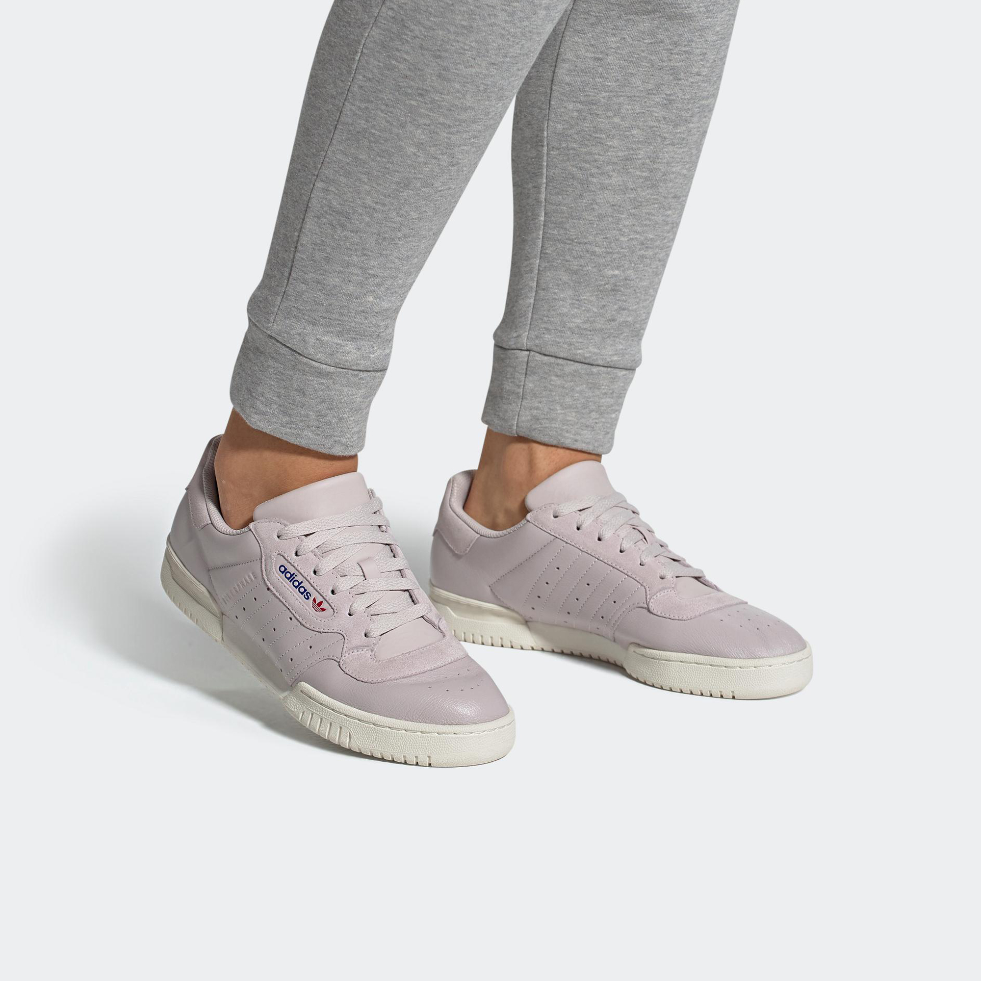 Purchase アディダス パワーフェーズ “アイス パープル” EF2903