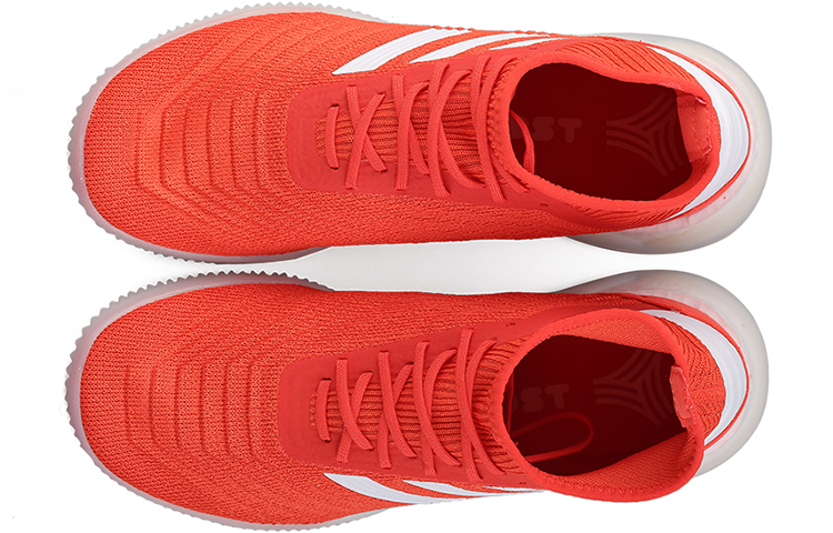 Shop adidas Predator 19.1 Zapatillas de Entrenamiento F35623