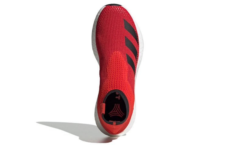 Lookbook 阿迪达斯 Predator 20.1 训练鞋 '活力红' EF1664