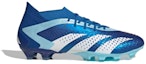 Order adidas Predator Accuracy.1 AG 'Marinerush Pack' - Kasut Bola Sepak Terbaik IE9487