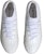 adidas Predator Accuracy.1 Kasut Bola Firm Ground 'Cloud White' GW4570