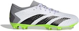 Order adidas Predator Accuracy.3 Low FG 'Crazyrush Pack' Lelarian Padang GZ0014