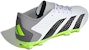 adidas Predator Accuracy.3 Low FG 'Crazyrush Pack' Lelarian Padang GZ0014