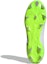 Details for adidas Predator Accuracy.3 Low FG 'Crazyrush Pack' Lelarian Padang GZ0014