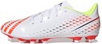 Buy adidas Predator Edge.4 FG 'Al Rihla Pack - Putih' GW0989