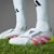 Adidas Predator Elite Foldover Tongue FG Soccer Cleats Cloud White/Lucid Pink/Lucid Lemon ID8967