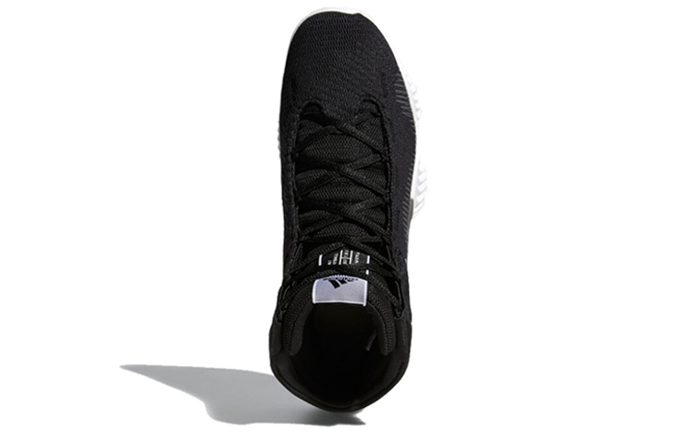 Purchase adidas Pro Bounce 2018 'Black White' FW5746