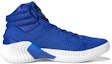 Order adidas Pro Bounce 2018 'Collegiate Royal Biru' AH2667