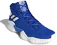 Lookbook adidas Pro Bounce 2018 ''Bleu Collégial'' AH2667