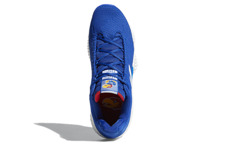 Purchase adidas Pro Bounce 2018 Low ''Collegiate Royal'' Blau B41869