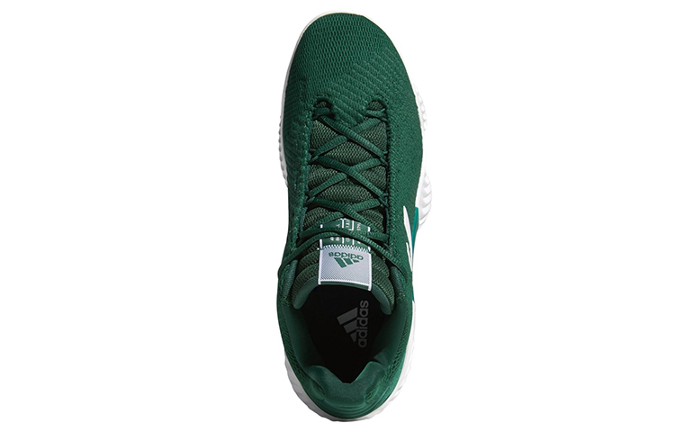 Lookbook adidas Pro Bounce 2018 Low ''Vert Foncé'' AH2675